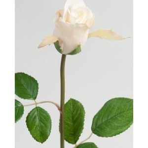 Rose 50 cm. hvid 2889-10