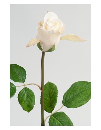 Rose 50 cm. hvid 2889-10