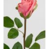 Rose 50 cm. rosa 2889-20