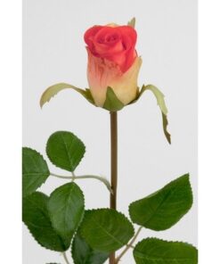 Rose 50 cm. orange 2889-35