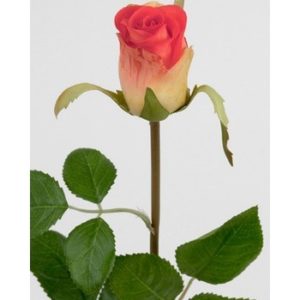 Rose 50 cm. orange 2889-35