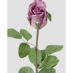 Rose 50 cm. lilla 2889-40