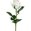 Rose stort hoved stilk 50 cm. Hvid 9603-10