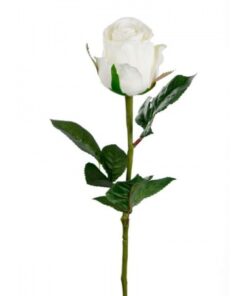Rose stort hoved stilk 50 cm. Hvid 9603-10