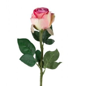 Rose stort hoved stilk 50 cm. rosa 9603-20