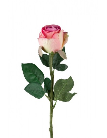 Rose stort hoved stilk 50 cm. rosa 9603-20