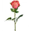 Rose stort hoved stilk 50 cm. Abrikos 9603-30