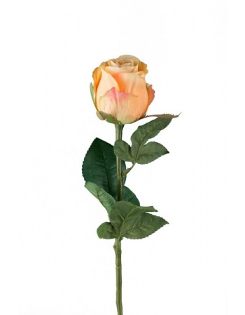 Rose stort hoved stilk 50 cm. Orange 9603-32