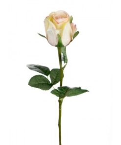 Rose stort hoved stilk 50 cm. Gul - rosa 9603-51