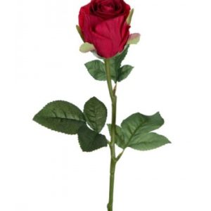 Rose stort hoved stilk 50 cm. Rød 9603-80