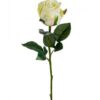 Rose stort hoved stilk 50 cm. Lime 9603-90
