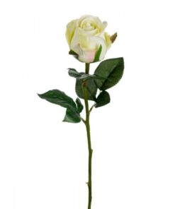 Rose stort hoved stilk 50 cm. Lime 9603-90